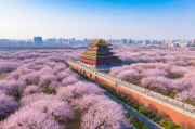 杏花岭区网站排名提升策略，全方位优化助力企业脱颖而出，杏花岭区企业网站SEO优化攻略，排名提升，抢占市场先机