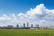 阜新网站优化排名，性价比之选，费用明细大揭秘！阜新网站优化性价比之王，费用明细深度解析！