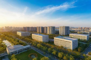 金凤区网站优化排名，揭秘提升网站流量与转化率的秘密武器，金凤区网站流量与转化率双提升秘籍，优化排名实战攻略