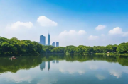 杭州网站排名哪家好？揭秘行业翘楚，助力企业腾飞！杭州网站排名领先机构盘点，助力企业抢占网络高地