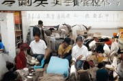 好，用户让我写一篇关于补贴名额申请的文章，标题和内容都要写。首先，我得理解用户的需求。补贴名额申请可能涉及教育、经济援助、工作机会等方面，所以文章需要涵盖这些方面