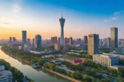 聊城网站排名优化软件，助力企业快速提升网站流量与知名度，聊城企业网站流量加速神器，排名优化软件助您知名度飞跃