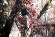 好，用户让我写一篇关于烟台市租房补贴申请的文章，标题和内容都要写。首先，我需要确定标题，要简洁明了，能吸引读者。然后是内容，要详细说明租房补贴的申请流程，包括所需材料、申请方式以及注意事项