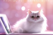 美猫APP注册指南，轻松开启你的美妆之旅