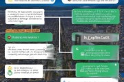 如何申请电工证复单补贴？实用技巧与注意事项