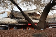 好，用户让我写一篇关于衡阳求职补贴申请的文章，标题和内容都要写。首先，我需要确定文章的结构。标题已经给出，接下来是引言，然后是正文部分，最后是结论