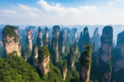 张家界数据采集网站排名，揭秘行业佼佼者，助力企业精准营销，揭秘张家界数据采集网站排名，行业佼佼者助力企业精准营销