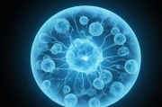 生物文献资料网站排名，助力科研工作者高效获取信息的新指南，科研助手指南，生物文献资料网站排行榜