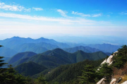 白山网站维护专业的选择分析，白山网站维护专业选择分析报告