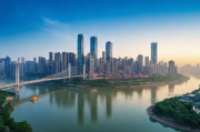 重庆专注网站排名电话，助力企业抢占网络市场制高点，重庆企业网络市场制高点抢占专家——网站排名电话服务