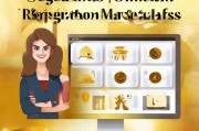 金税三期注册全攻略，轻松上手，开启高效税务管理之旅