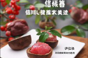 信丰网站排名，揭秘提升网站在搜索引擎中的竞争力之道，信丰网站SEO秘籍，揭秘搜索引擎排名提升策略