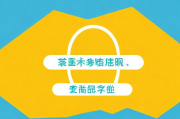 如何提升平面宣传网站排名，策略与技巧全解析，全方位揭秘，平面宣传网站SEO排名提升策略与技巧