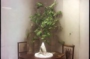 好，用户让我写一篇关于探亲补贴申请的文章，标题和内容都要写。首先，我需要明确探亲补贴是什么，它通常用于什么情况。然后，文章结构要清晰，可能包括补贴的定义、申请条件、流程以及注意事项