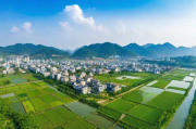 乡镇统计网站排名，提升信息透明度，助力乡村振兴，优化乡镇统计网站排名，增强信息透明度，推动乡村振兴战略实施