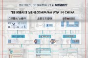 带中国的公司如何注册，详细指南与步骤