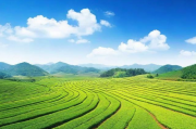 深度解析，如何提升开原网站关键词排名，抢占搜索引擎流量高地，开原网站关键词排名提升攻略，掌握搜索引擎流量制胜之道