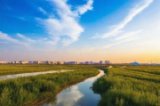 大庆网站建设排名一览表，揭秘地区网站建设实力与趋势，大庆地区网站建设实力与趋势排行榜揭晓