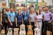 CKU犬舍注册全攻略，轻松开启您的犬舍事业之路