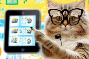 猫亮注册攻略，轻松上手，快速完成注册流程