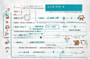 潍坊注册公司攻略，详细解析公司注册流程及注意事项