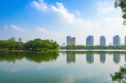 湖州网站建设与维护的重要性，湖州网站建设，提高企业知名度与推广效果的必要手段