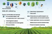 农用补贴怎么申请？步骤详解及常见问题解答