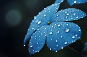 雨花区网站维护指南，雨花区网站维护流程和注意事项