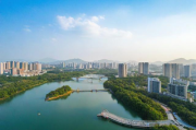 鹤山网站优化排名软件，助力企业网站提升在线竞争力，鹤山企业网站优化神器，一键提升在线竞争力