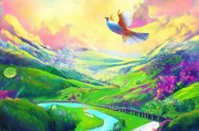 飞翔之路—探索注册流程，开启您的飞翔之旅