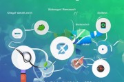 如何查询信息化网站排名，全面指南与实用方法，一站式信息化网站排名查询攻略，全面指南与实用技巧