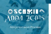 接下来是文章内容，用户要求不少于860个字。我得先规划一下文章的结构。通常，这种指南类的文章可以分为几个部分，引言、网站功能介绍、申请流程、注意事项、常见问题解答、总结。这样结构清晰，读者容易理解