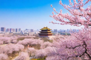 杏花岭区服务网站排名，助力企业提升在线服务品质，杏花岭区企业服务网站优化排名，赋能在线服务品质飞跃