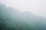 井冈山网站排名优化软件，助力企业互联网营销新突破，井冈山企业互联网营销利器，网站排名优化软件助力新突破