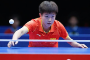 国际乒乓球世界排名网站，实时更新，见证乒乓辉煌，实时见证乒乓辉煌，国际乒乓球世界排名网站动态更新