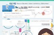 深圳补贴申请指南，如何高效获取资金支持