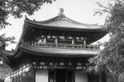 平遥网站排名，揭秘提升网站在搜索引擎中的地位之道，平遥网站SEO秘籍，搜索引擎排名提升攻略