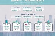 如何申请上海补贴？上海补贴申请指南