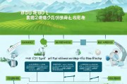 2023年最新种菜补贴申请指南，从流程到注意事项