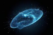 2023年度数字藏品市场网站排名，揭秘行业领先平台，2023年数字藏品市场领先平台排行榜揭晓