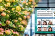 攀枝花如何申请专利补贴？实用指南与常见问题解答