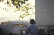 好，用户让我写一篇关于绿卡申请补贴的文章，先写标题，再写内容，内容不少于902个字。首先，我需要明确绿卡申请补贴是什么，它有什么作用，以及它对申请者有哪些好处