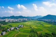 赣州本土网站排名，揭秘赣州网络市场的发展现状与趋势，赣州网络市场现状揭秘，本土网站排名与未来趋势分析