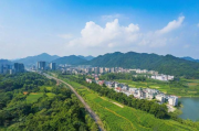 湖南地摊网站厂商排名，揭秘地摊经济新势力，助力创业梦想起飞，湖南地摊经济新势力崛起，厂商排名助力创业梦想腾飞