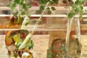 好，用户让我写一篇关于山西省低收入补贴申请表的文章，还给了标题和内容的要求。首先，我需要明确文章的结构和内容要点。标题已经给出，是山西省低收入补贴申请表，内容部分需要不少于962个字