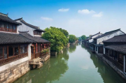 2023年浙江传统网站设计排名，传承与创新共舞，领略江南设计风采，2023浙江传统网站设计风云榜，江南设计风华再现