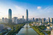 佛山网站群发排名优化，提升网站流量，助力企业腾飞，佛山企业网站流量倍增，专业群发排名优化，助力飞跃发展