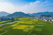 萧县优化网站排名，多维度策略助力企业线上崛起，萧县企业线上崛起，多维优化策略提升网站排名