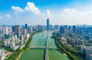 广东外围网站排名，揭秘网络世界的竞争格局，解码广东网络竞争，外围网站排名揭秘
