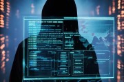 揭秘中国排名第一的黑客网站，揭秘其崛起与影响，中国黑客网站巅峰揭秘，崛起之路与深远影响